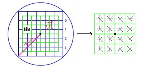 描述子方向梯度直方图